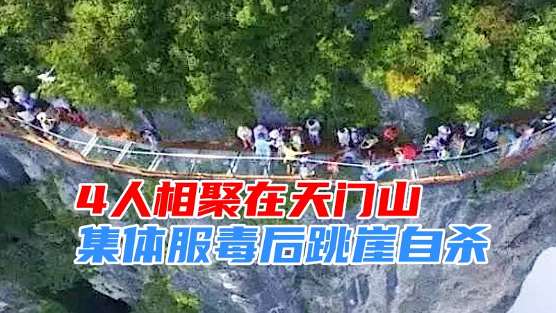 1518米天门山跳崖没死