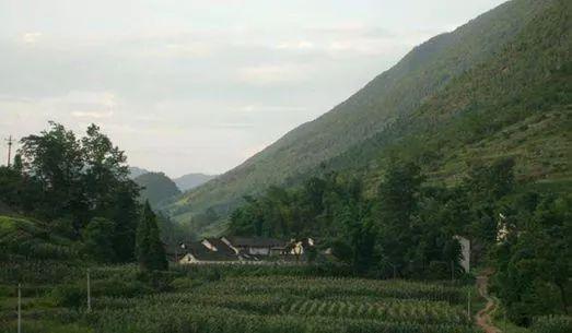 万和镇有哪些村