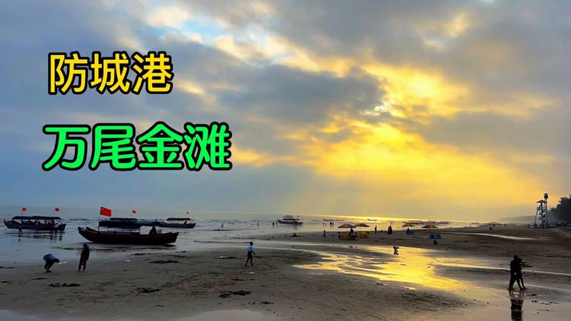 万尾金滩赶海最佳地点