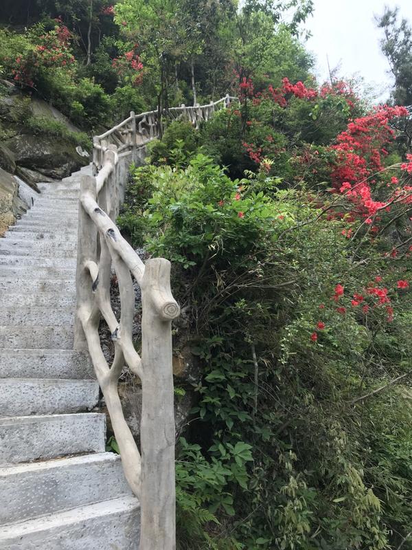 万岁山适合老年人吗