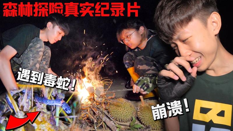 万毒森林是真是假