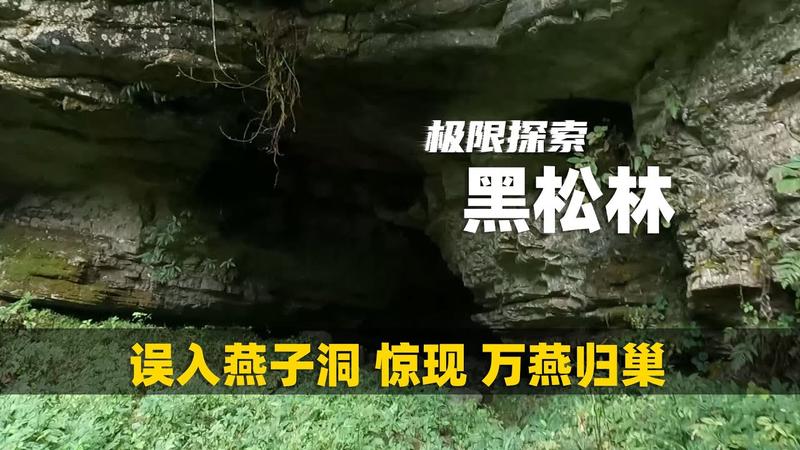 三清湾燕子洞