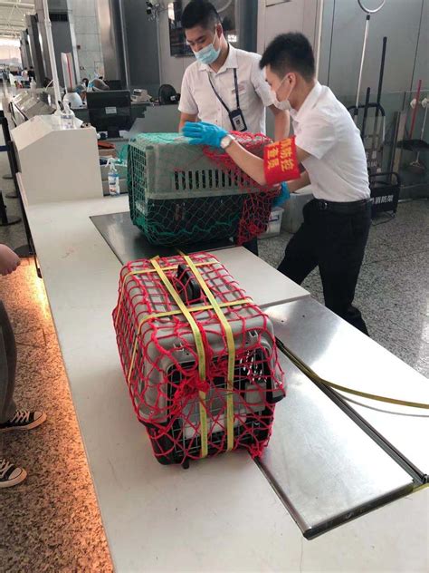 上海航空靠谱吗