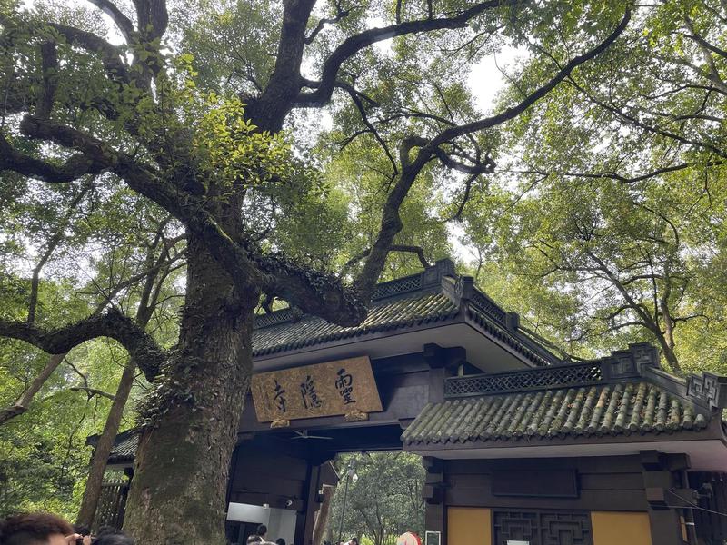 不带团导游证免门票的景点