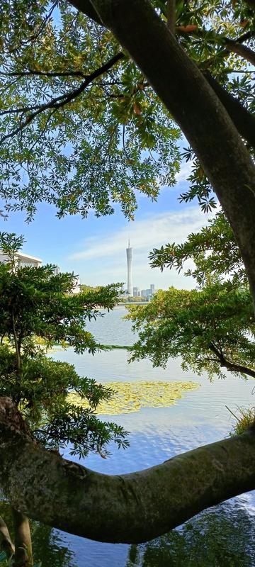 东山湖公园景点介绍