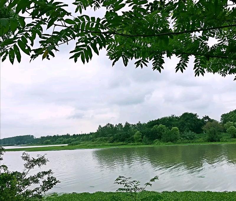 东江湖凤凰岛风景区