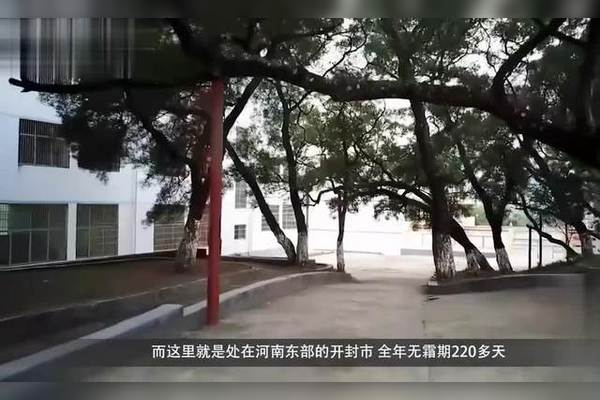 中国唯一的水城城市