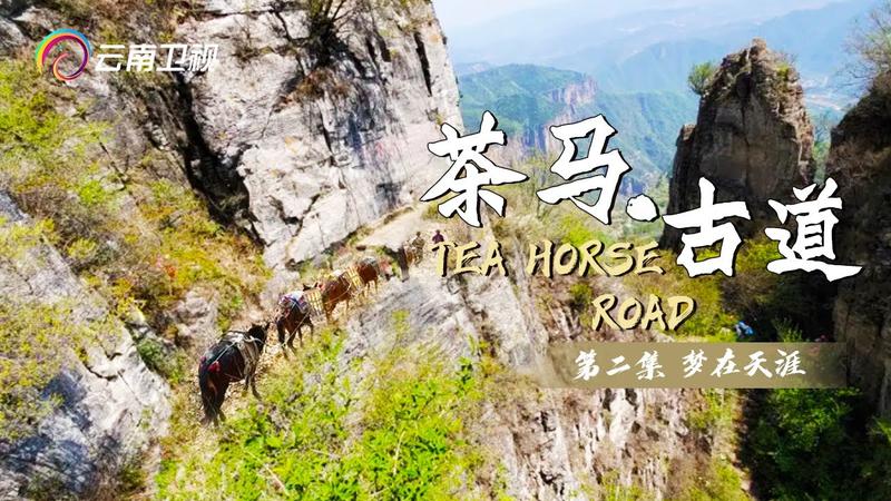 中国茶马古道有三条