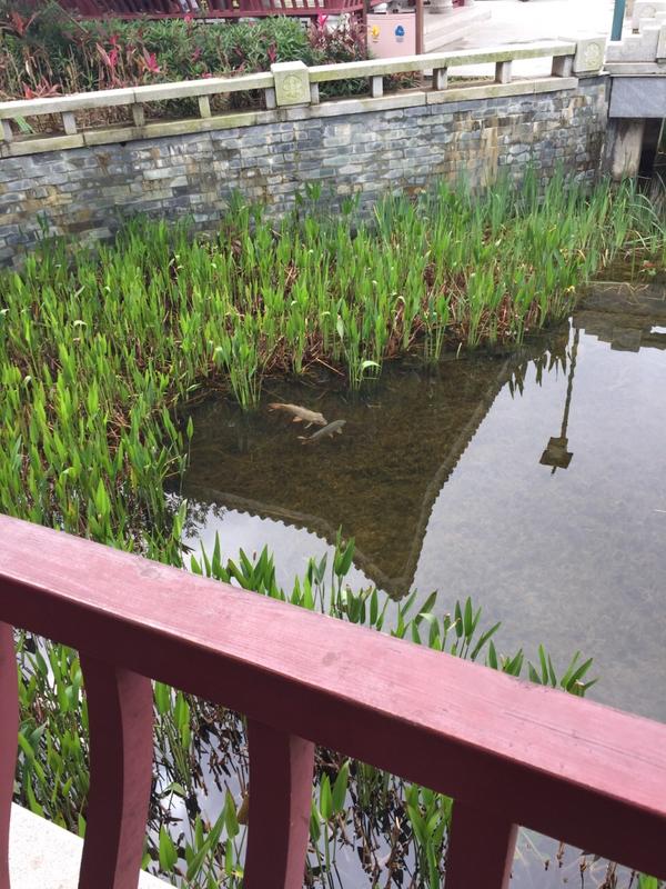 丰润燕沣园好玩吗