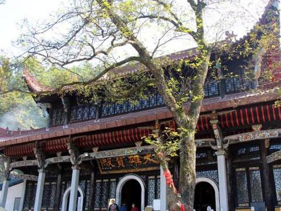 九华山什么属相去拜