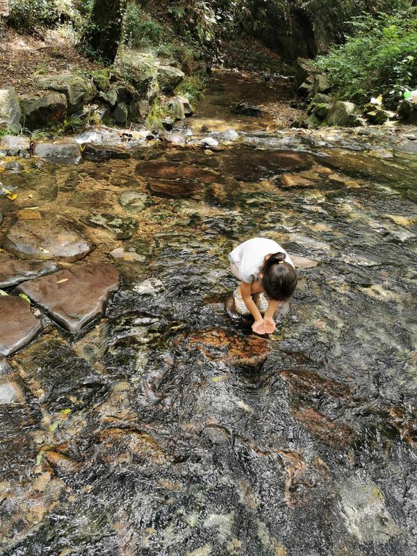 九溪十八涧一日游攻略