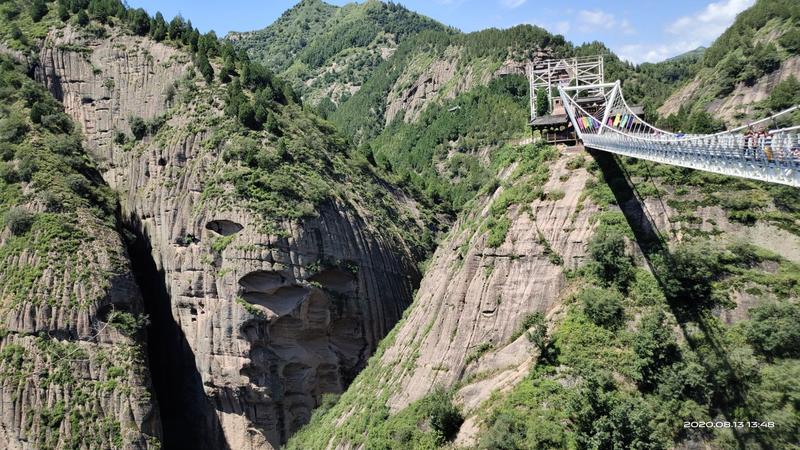 九龙山在什么地方