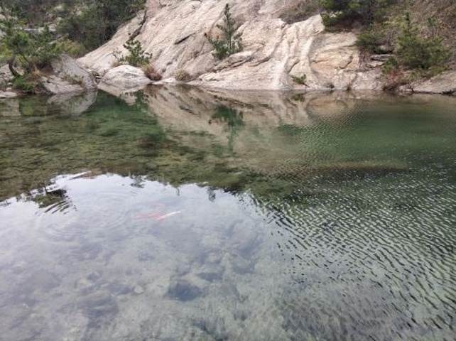 九龙池海拔多少米高