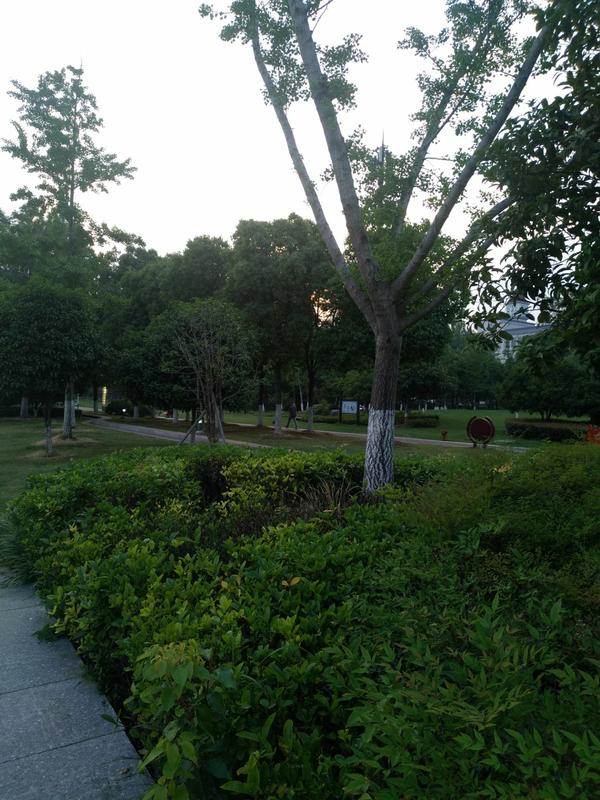 五象岭公园三个入口位置