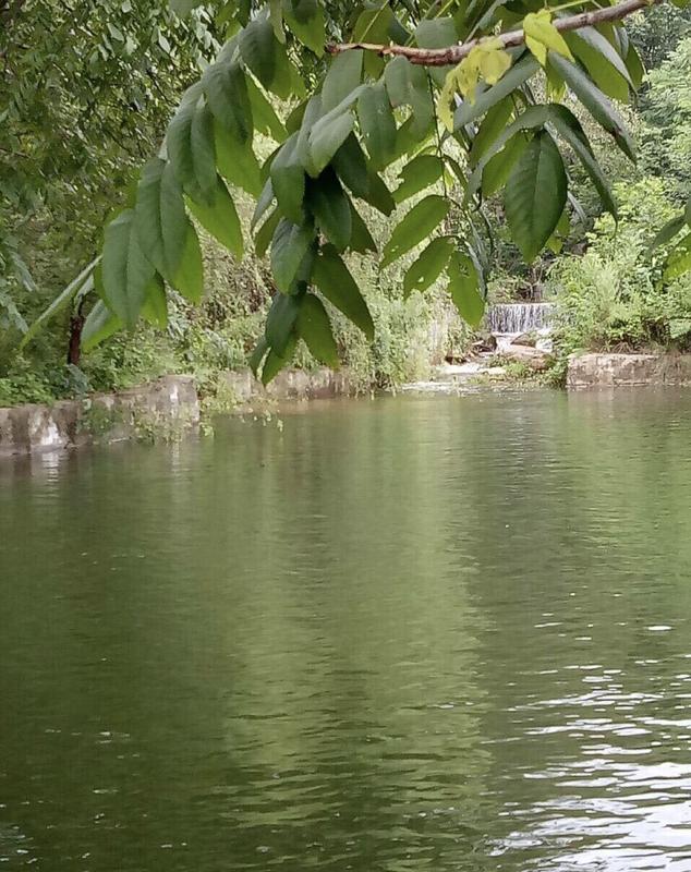 五龙山风景区在哪里