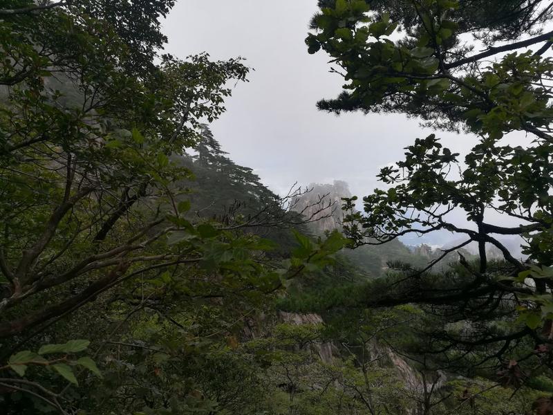 五龙潭传说简介