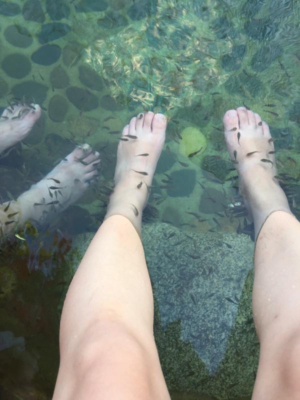 五龙背温泉哪家好