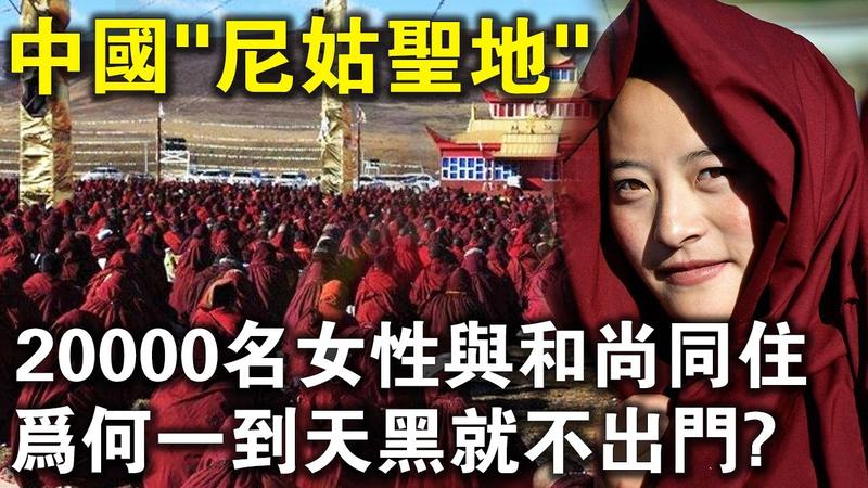 亚青尼姑寺最新图片