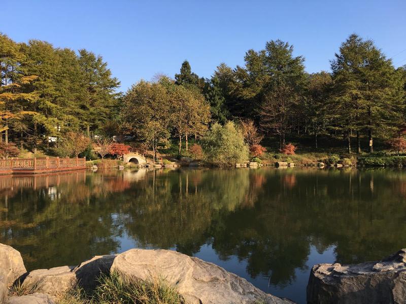 仰天湖海拔多高