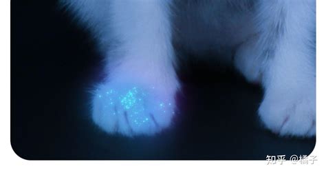 伍德氏灯准确吗