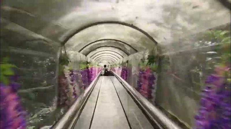 全南县天龙山景区介绍