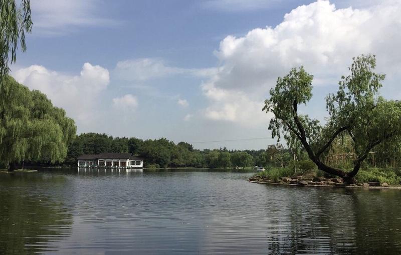 共青森林公园游玩攻略