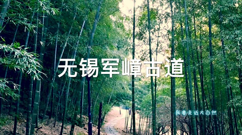 军嶂古道全长多少公里