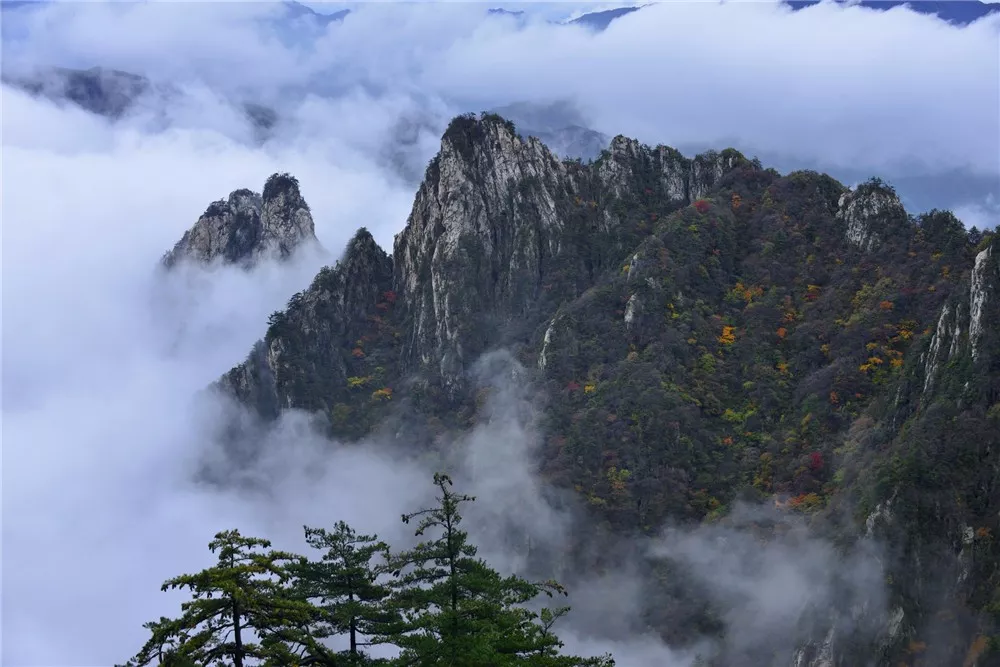 冬季去老君山合适吗