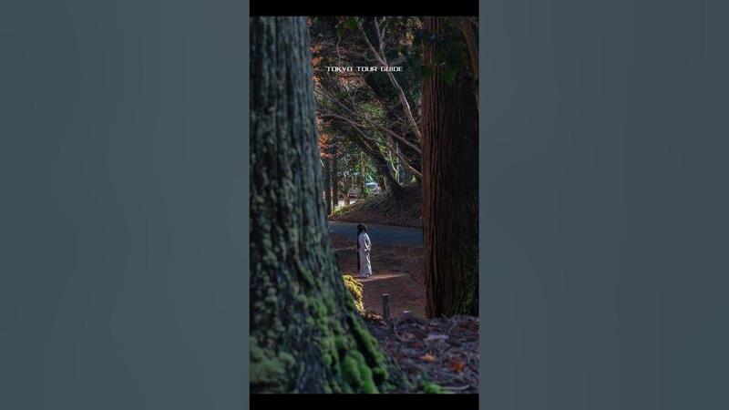 函馆夜景为什么叫百万夜景