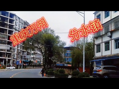 分水镇一日游必去景点