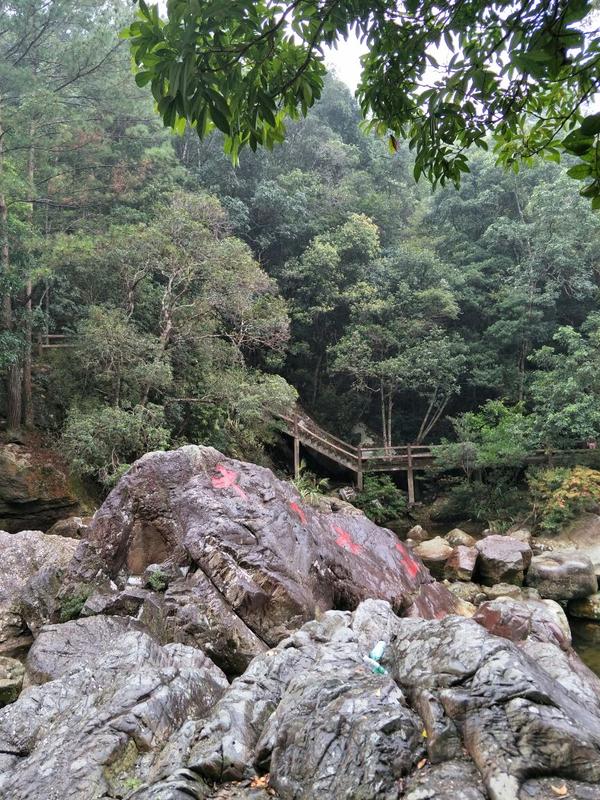 十万大山旅游攻略
