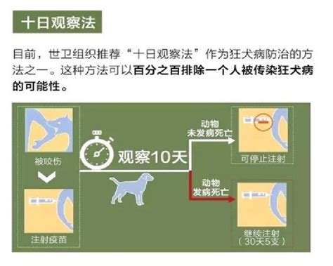 十日观察法准确吗