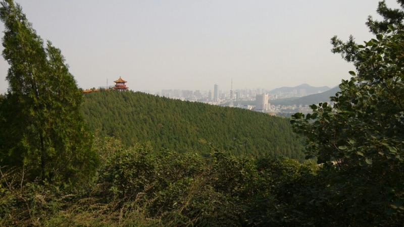 千佛崖开放时间