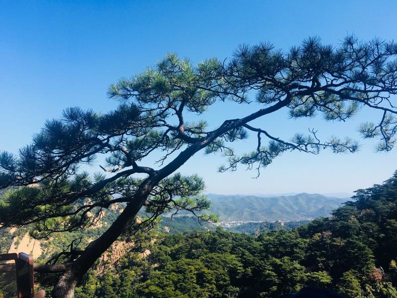 千山寺庙一览表