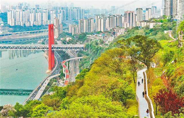 半山崖线步道线路图