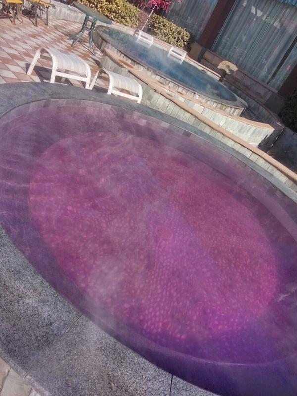 华东第一温泉在哪里