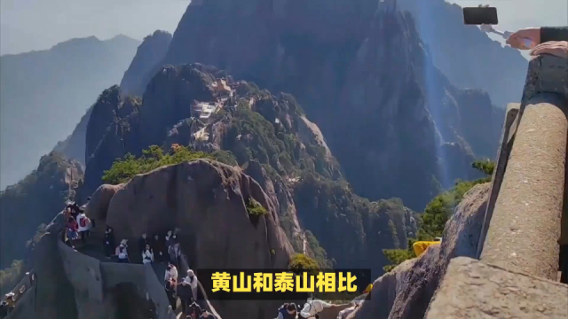 华山和泰山哪个高
