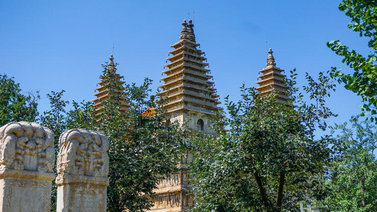 南京60岁以上老人哪些景点免票