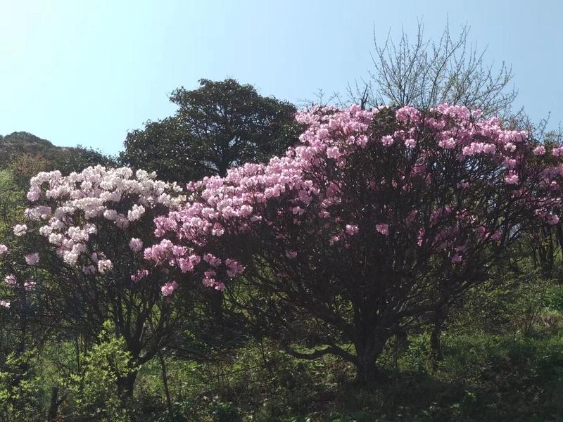 南山牧场几月份去最好