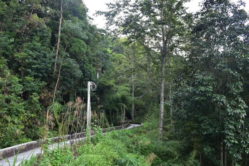 南昆山森林公园景点介绍