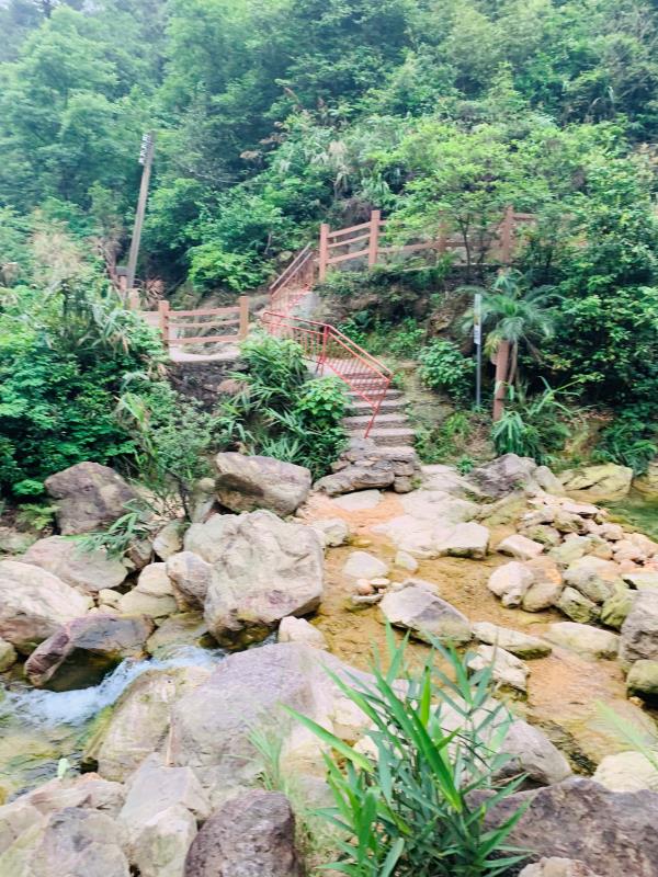 南海湾森林公园