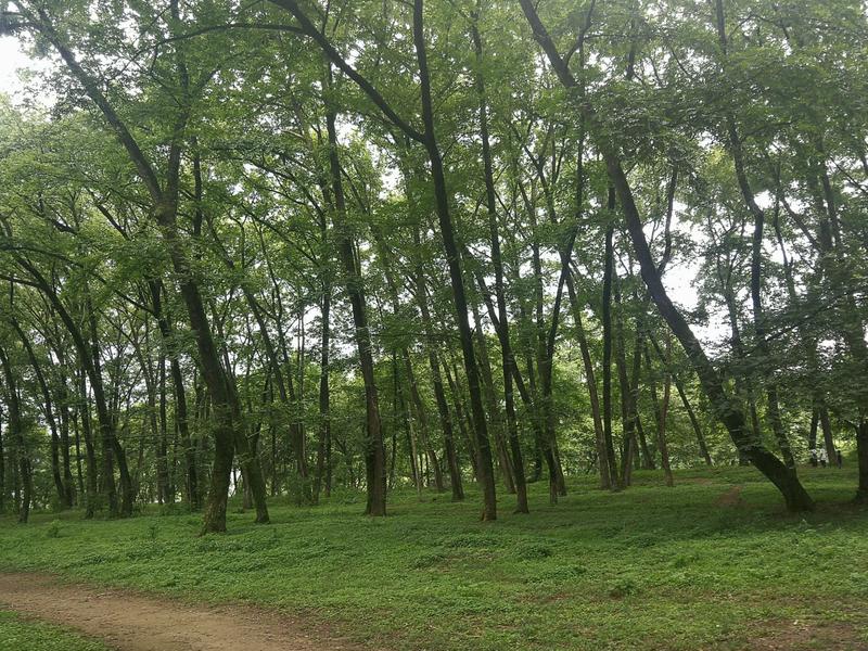 南溪古镇在哪里