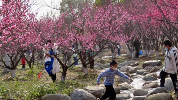 南艳湖公园一圈多少公里