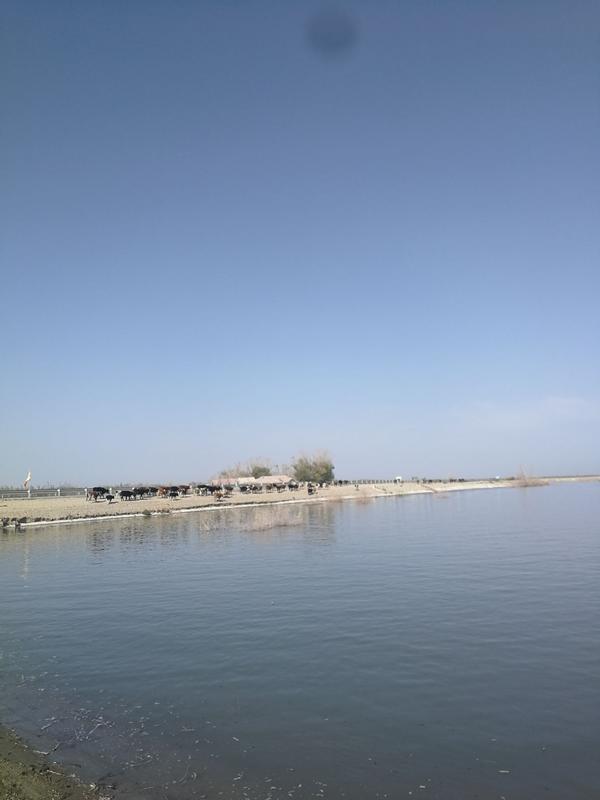 博斯腾湖滑雪场