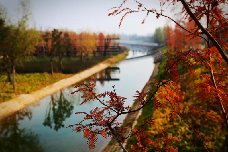 双鹤湖中央公园