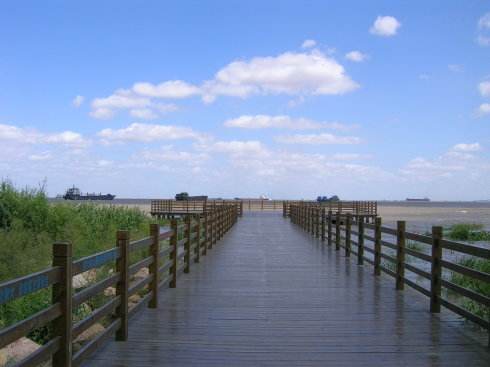 吴淞口炮台湾湿地森林公园