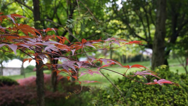 四明山国家森林公园