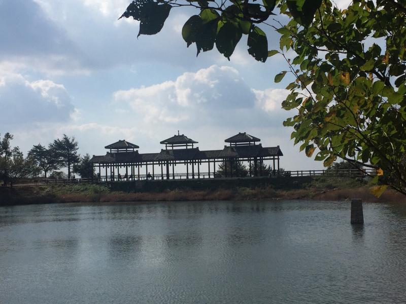 四明山海拔多少米