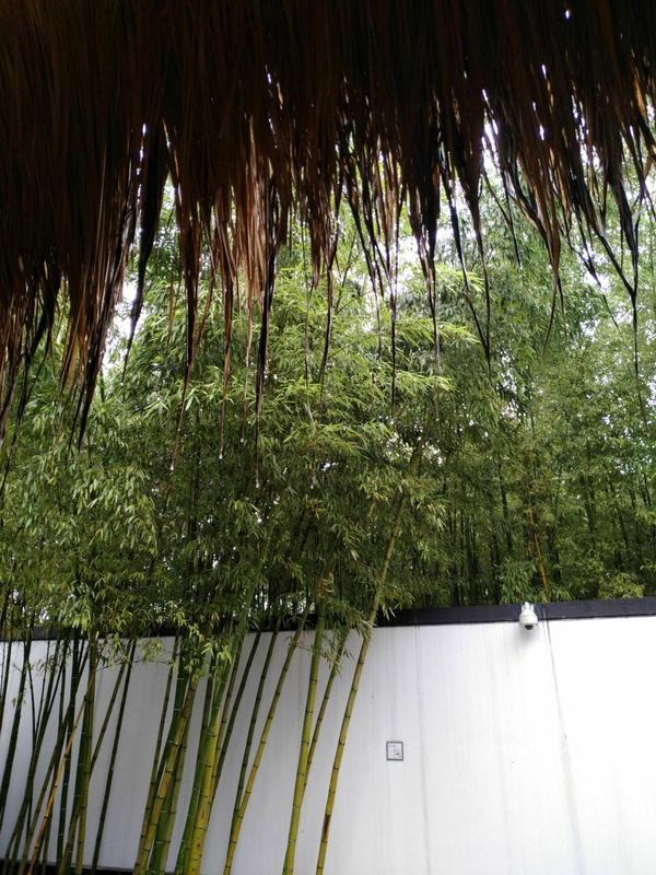 四眼井和宁化府哪个好