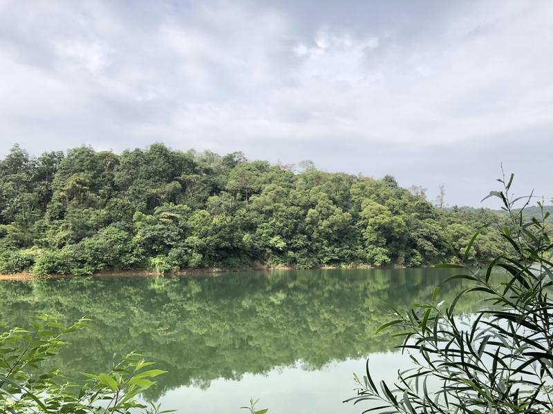圭峰山红叶今年最好的时间